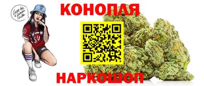 мдпв Вязники