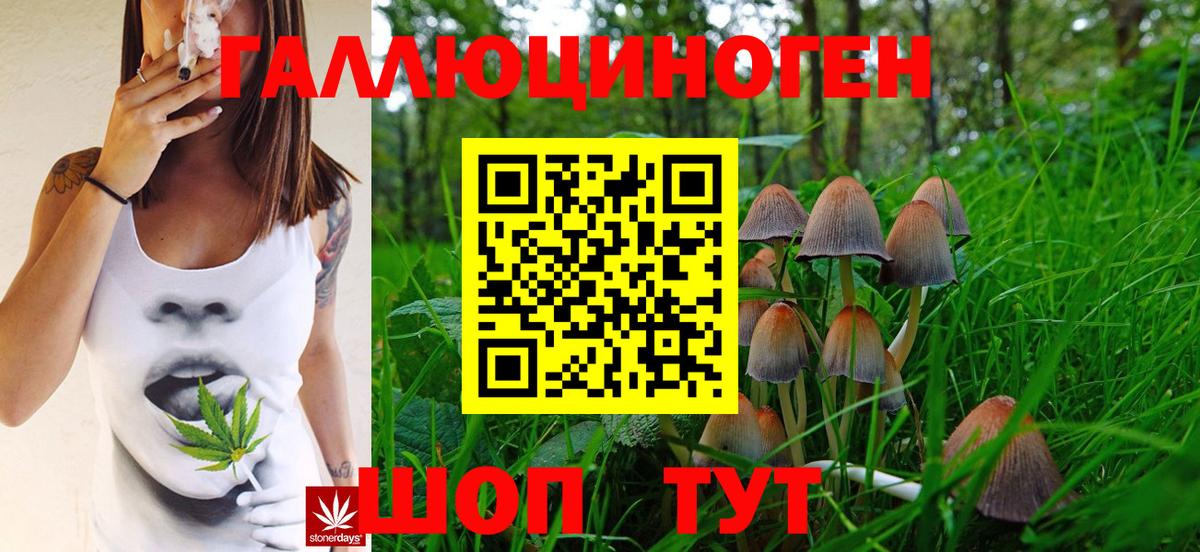 Сибай  Псилоцибиновые грибы Psilocybine cubensis  Вход с VPN 